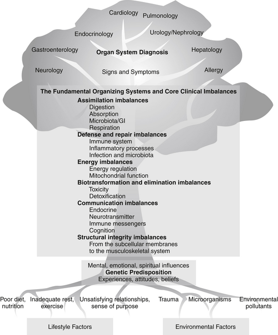 CourtesyOftheInstituteOfFunctionalMedicine.jpg