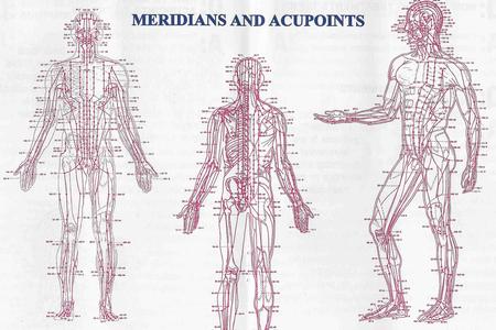 TREATMENTS_AcupunctureMeridiansAndAcupoints.jpg