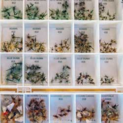 Herbal Medicine Supplements